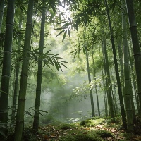 王*生